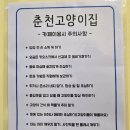 춘천 고양이집 이미지