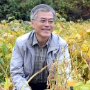 평곡4리 이미지