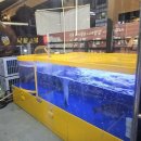 세븐건대 | [건대] 속초어시장 횟집 모듬회 방문 후기