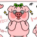 돼지33 이미지