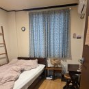 차차차휴게소 | [2026.02.28~03.01] 나 혼자 포항 여행