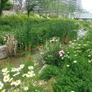 우시장천 이미지