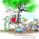 마온 이미지