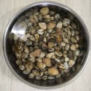 부안 스카이 펜션 이미지