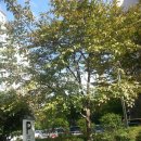 남양2 발전소 이미지