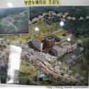 누에타운곤충탐사과학관 Daum카페