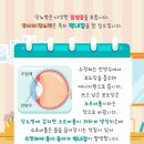 우리종합동물병원