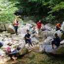 노블파크아파트 버스정류소 이미지