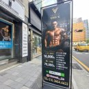 빈센트 핏 이미지