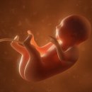 디엔엘고 이미지