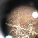 우리 마을 누구나 작가 이미지