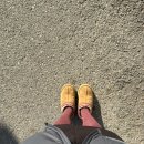 명진순대국 | 205/서,어른