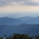 광양 진틀펜션 이미지