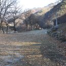 청일관광농원 이미지