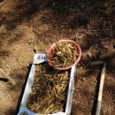 한진1농장 이미지