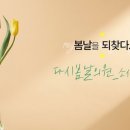 소사벌다시봄날의원 네이버블로그