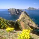 아일랜드 이미지