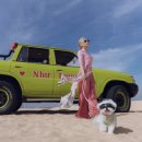 월드펫투어 이미지