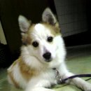 SK 신흥주유소 이미지