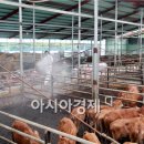 장동축사 이미지