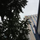 모유사랑클리닉 이미지