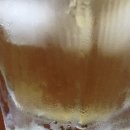 최영민 동물의료센터 이미지