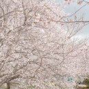 성북2리마을회관 이미지