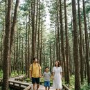 갯벌체험-조개,바지락 잡기(만대마을) 네이버블로그