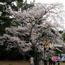 (주)한창관광여행사 이미지