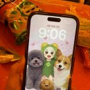 동해~애 | 동해 묵호 애견동반 숙소 왕왕왕추천 '너랑온' 내돈내산 1박 후기