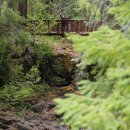 리버(river) 이미지