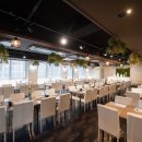 더파티스타 이미지