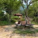 운수천 Daum카페