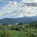 구미 오가리민박 이미지