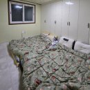 양양하조대마당넓은밤하늘별빛펜션 | 양양 반려견 동반 독채펜션 - 양양하조대 마당넓은밤하늘별빛 펜션