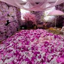 계명유치원 이미지