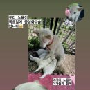 한림동물병원 이미지