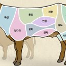 우리소한우 이미지