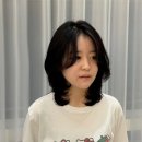 시아 카카오 검색결과