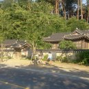 경포의하루 이미지