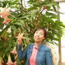 횡성목장 이미지