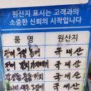 구암동613(현대시장) | 마산 구암동 맛집ㅣ현대시장 자연횟집 회식,단체모임 장소 추천