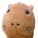 오랑 이미지