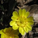 구면농장 이미지