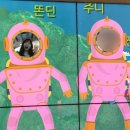 텀널분식 | 패러글라이딩/가연/도담삼봉/고수동굴/카페인단양/단양구경시장/단양관광호텔/두꺼비식당/덩실분식/의림지