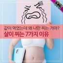 같이 먹었는데 왜 나만 찌는 거야? 살이 찌는 7가지 이유 이미지