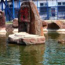 동북민박 이미지