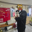 청림로 이미지