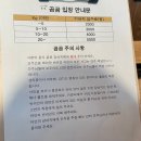 애견카페 펍 곰곰 이미지