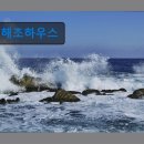 해조하우스 이미지